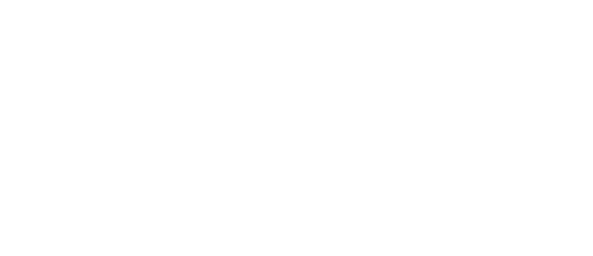 faex-logo (white)