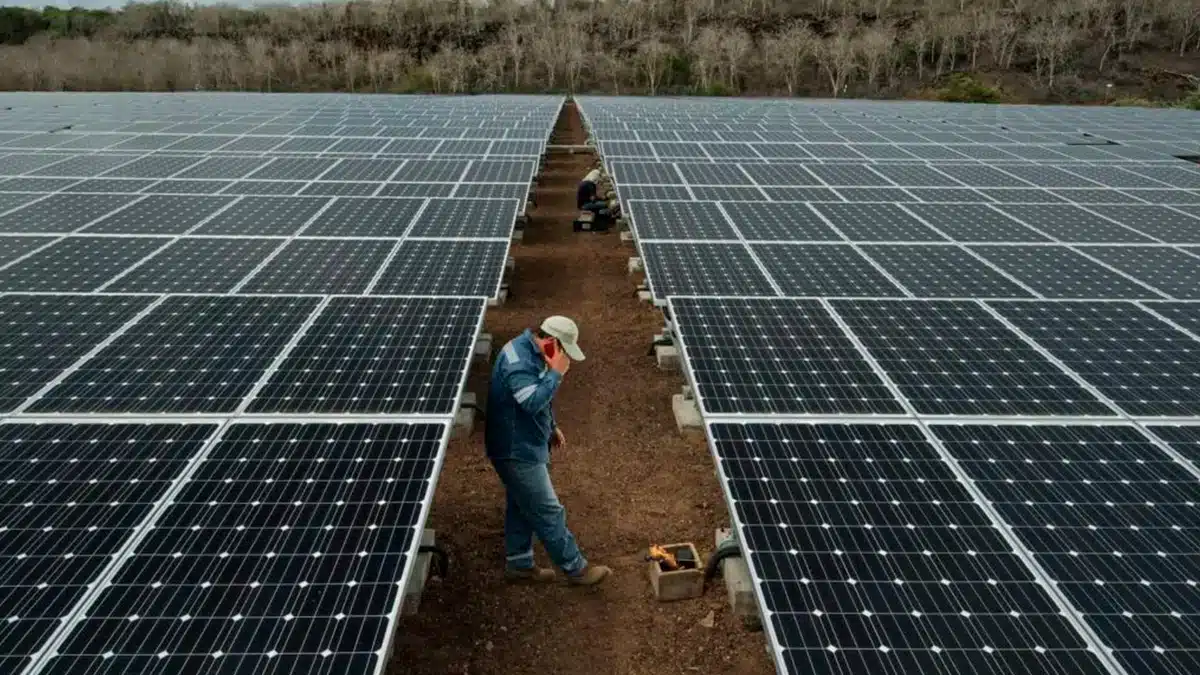 Cogecom - Lider em geração compartilhada de energia do brasil